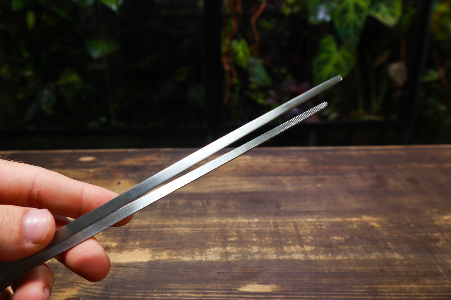 Long Straight Tweezers