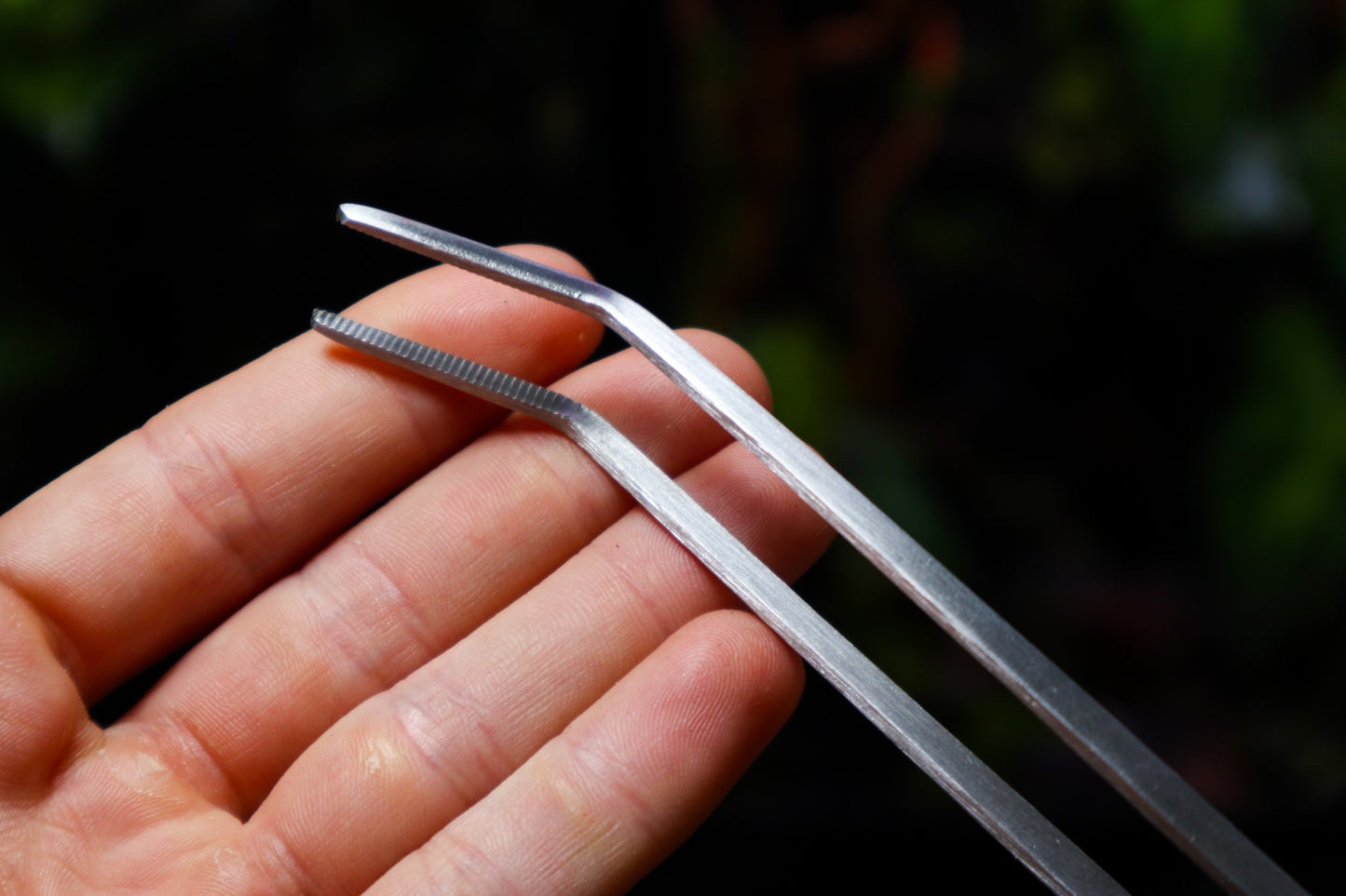 Long Curved Tweezers