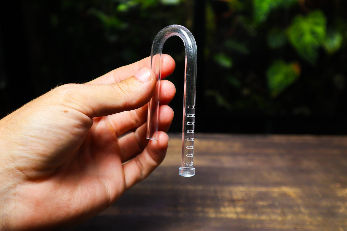 Micro Lily Pipes For Nano Aquariums