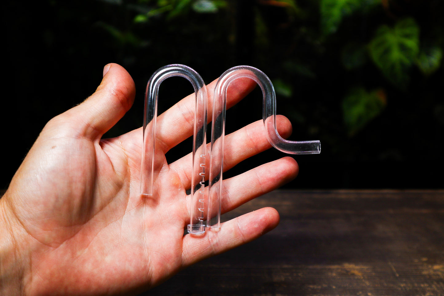 Micro Lily Pipes For Nano Aquariums