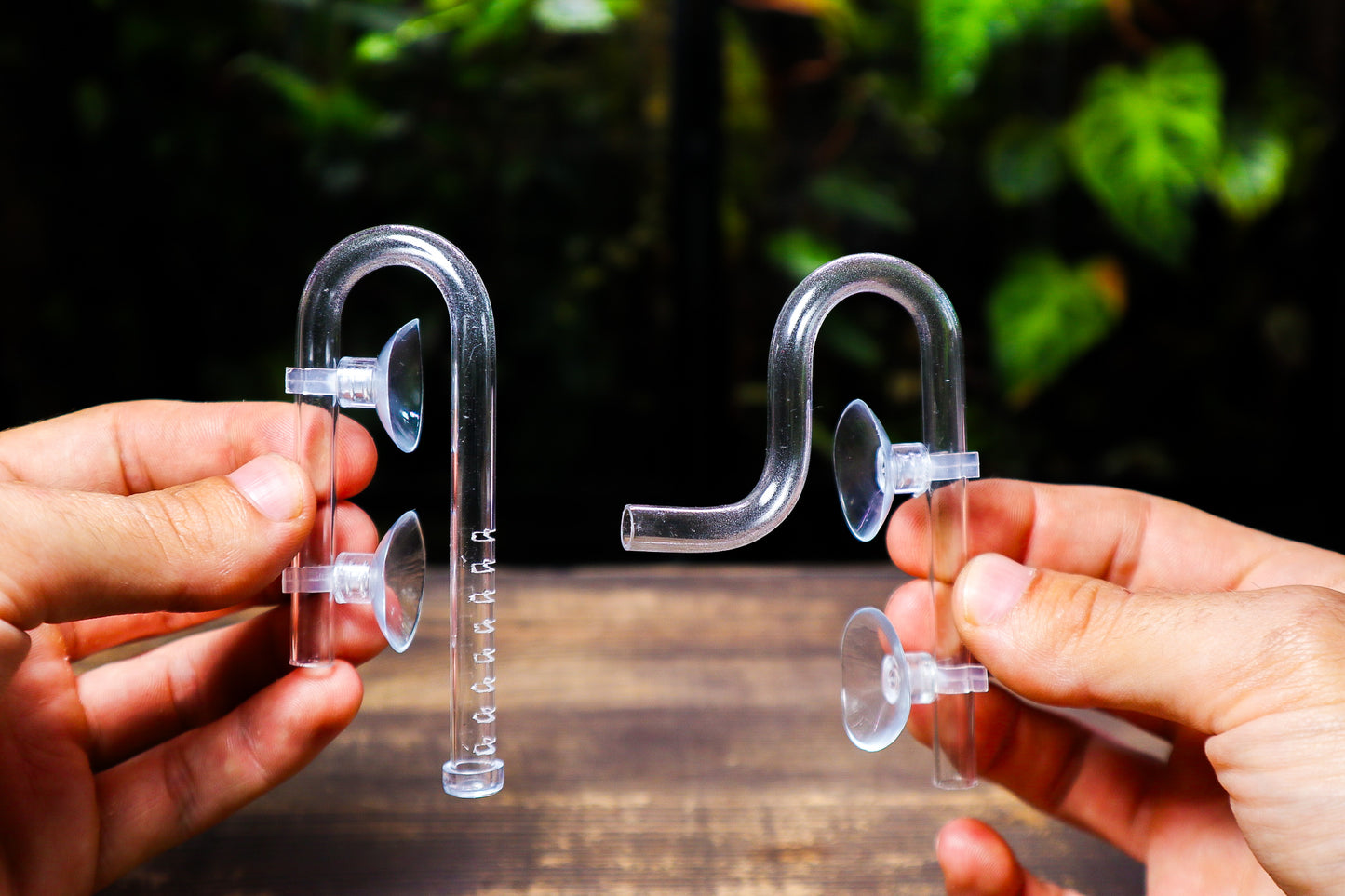 Micro Lily Pipes For Nano Aquariums