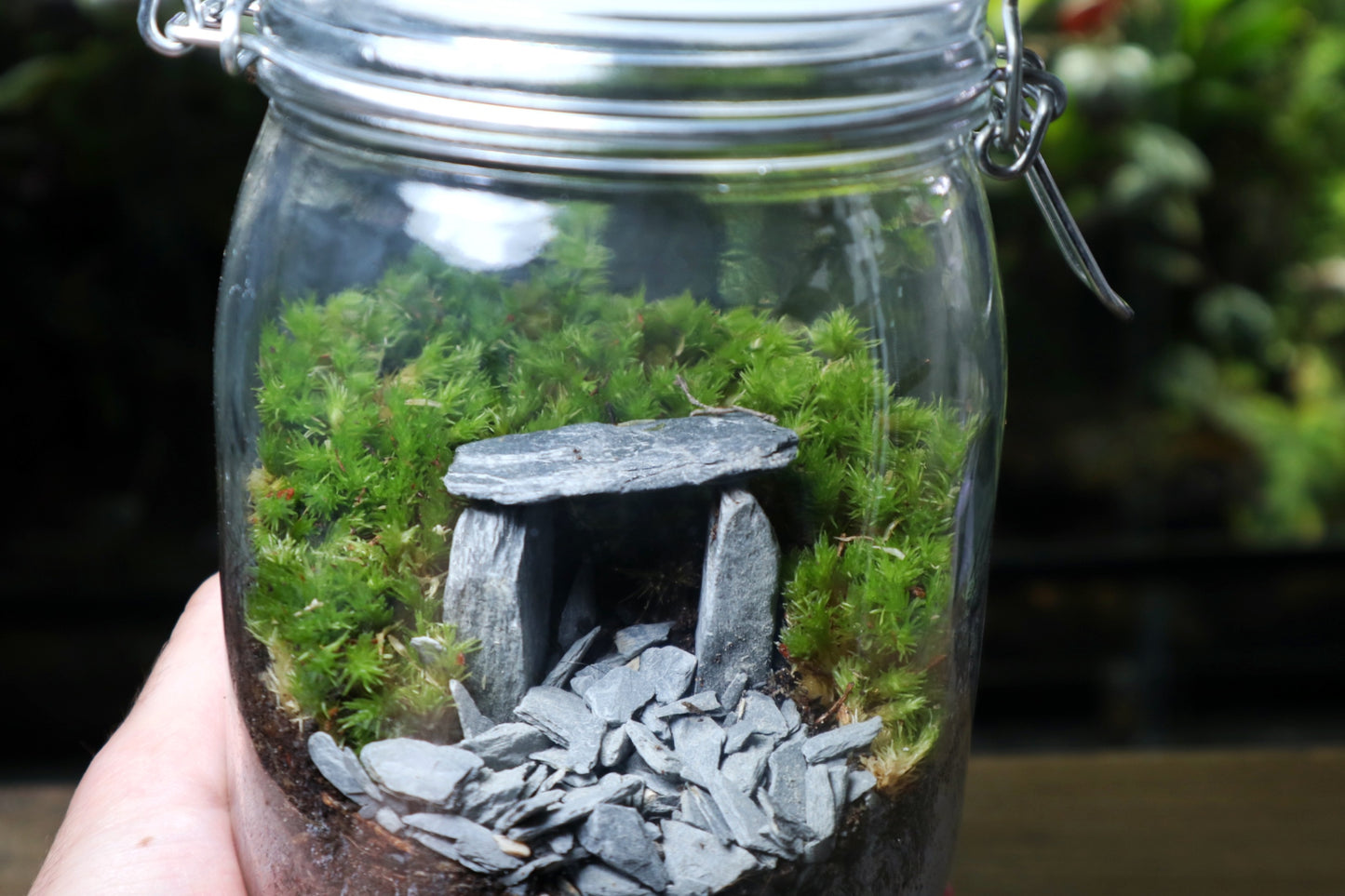 Cave Terrarium Kit (UK Delivery Only) - Terrarium Designs