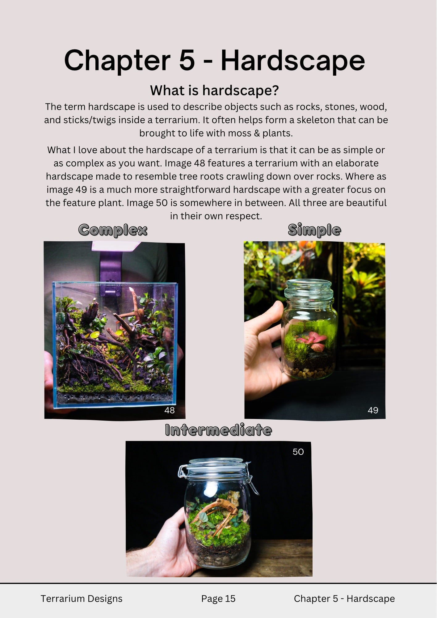 How To Make a Terrarium - A Complete Beginners Guide - Terrarium Designs