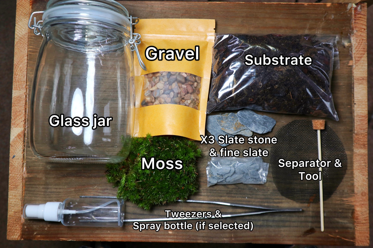 Cave Terrarium Kit (UK Delivery Only) - Terrarium Designs