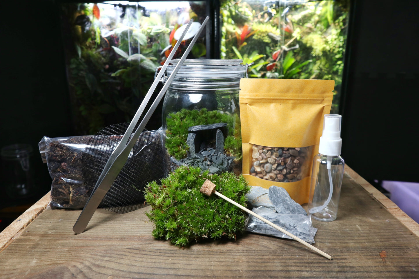 Cave Terrarium Kit (UK Delivery Only) - Terrarium Designs