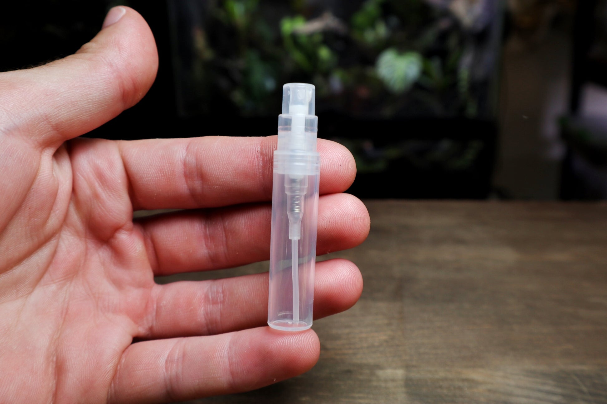 Mini Mister - Terrarium Designs