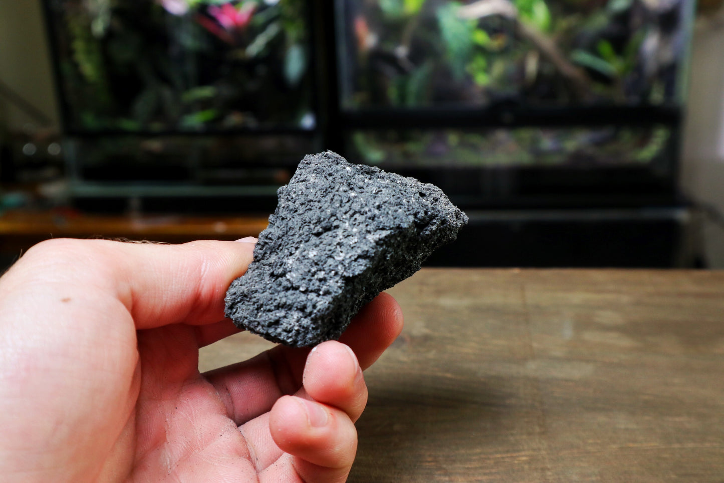 Black Lava Rock Medium (For 1 litre terrarium) (UK Delivery Only) - Terrarium Designs