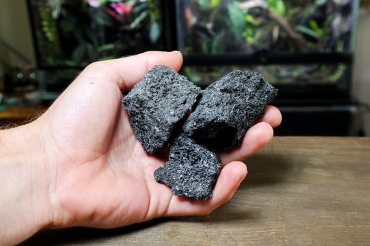 Black Lava Rock Medium (For 1 litre terrarium) (UK Delivery Only) - Terrarium Designs
