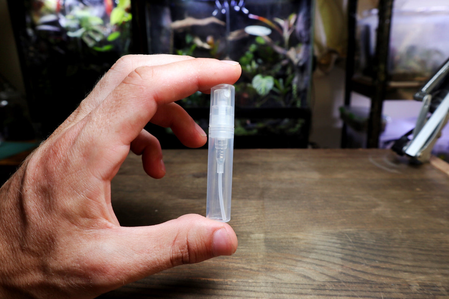 Mini Mister - Terrarium Designs