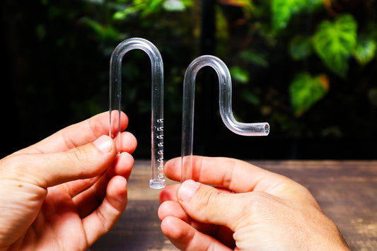Micro Lily Pipes For Nano Aquariums