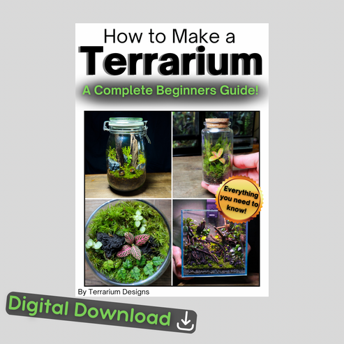 How To Make a Terrarium - A Complete Beginners Guide – Terrarium Designs