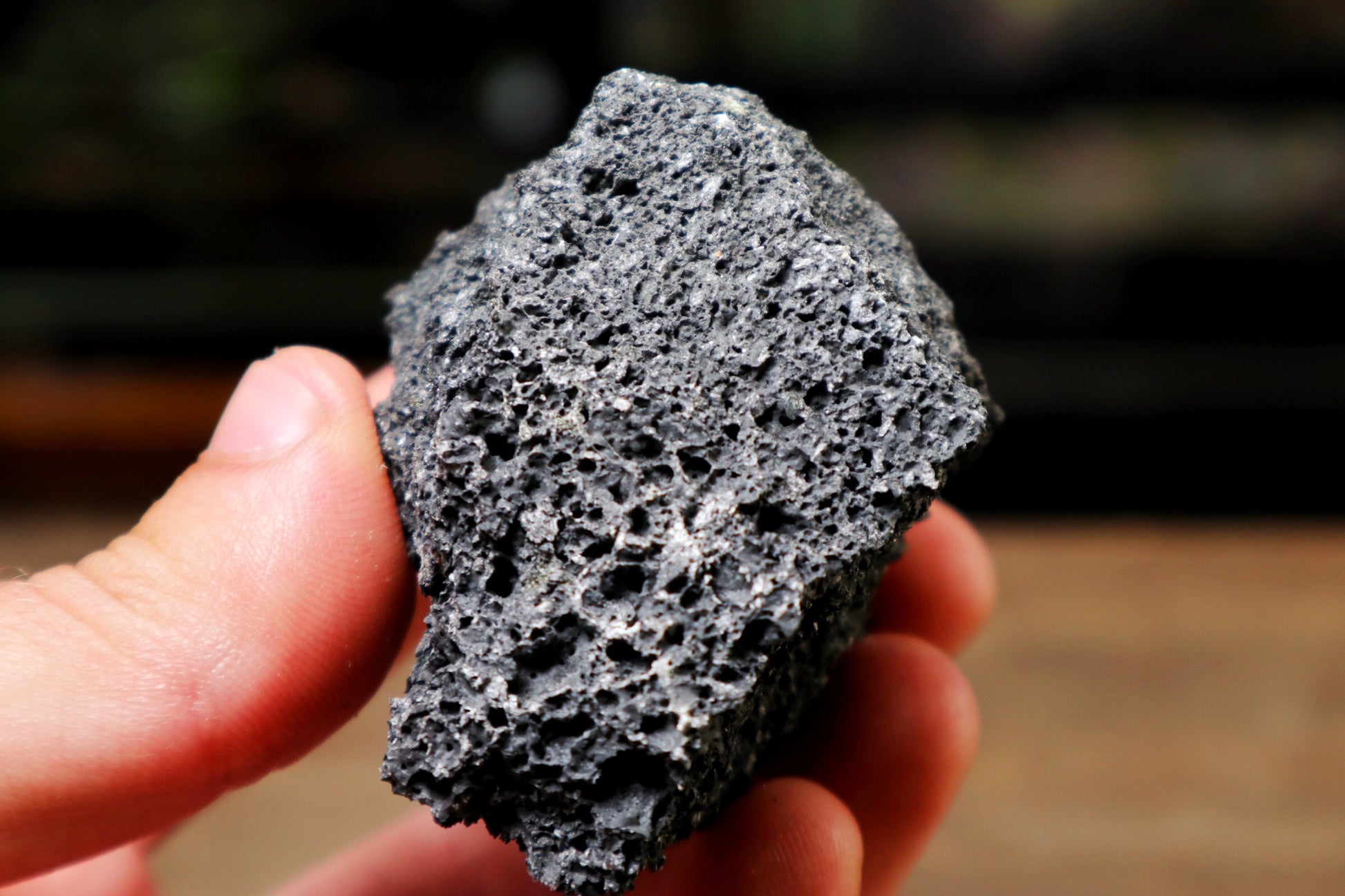 Black Lava Rock Medium (For 1 litre terrarium) (UK Delivery Only) - Terrarium Designs