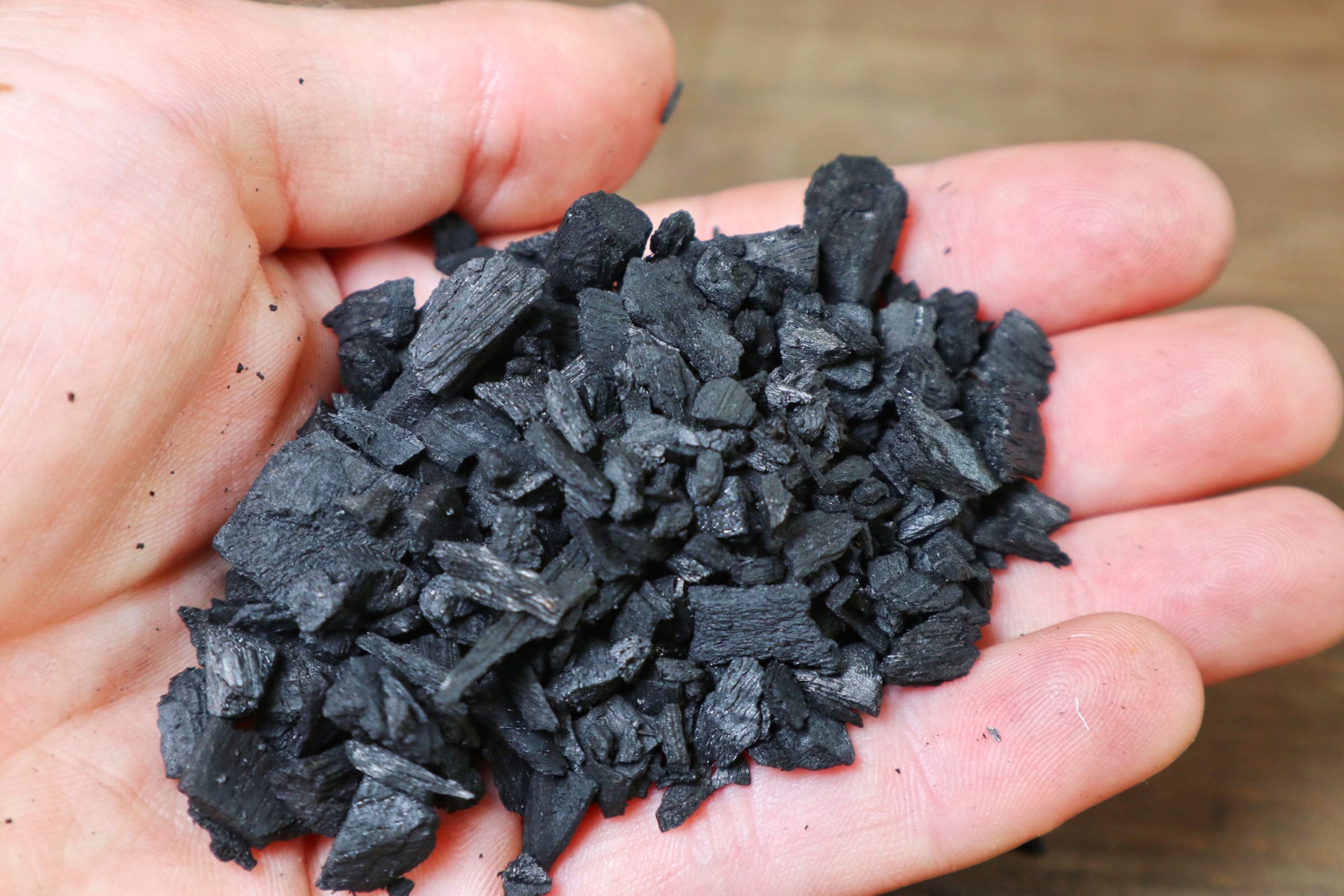 Upgrade Your Terrarium Game Activated Charcoal for a Pristine Ecosystem